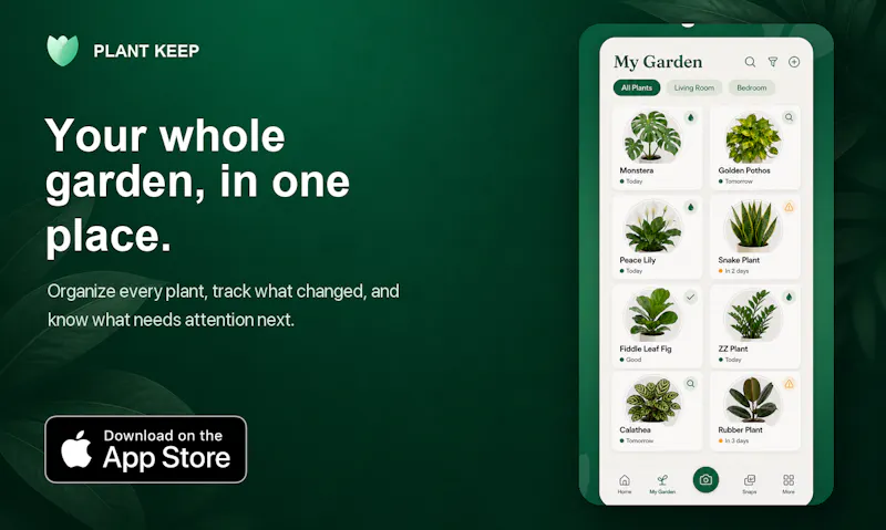 Plant Keep screenshot 6