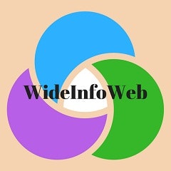 Wideinfoweb