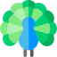 AWS Peacock Management Console Peacock