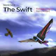 The Swift, bird-like flying robot