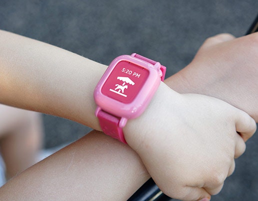 Octopus gallery image