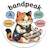 BandPeak