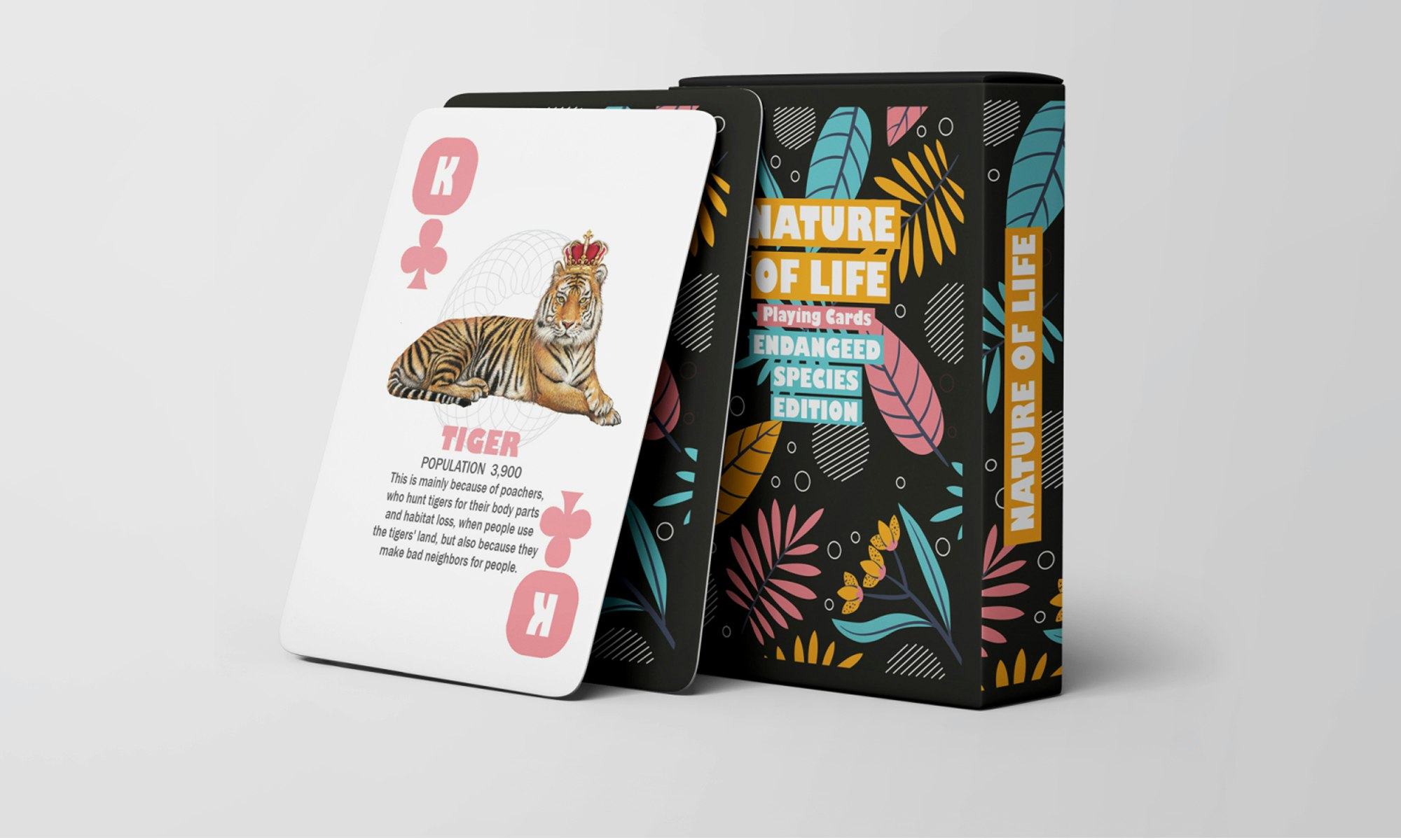 Nature of Life Deck gallery image