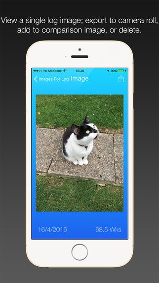 Progressr gallery image