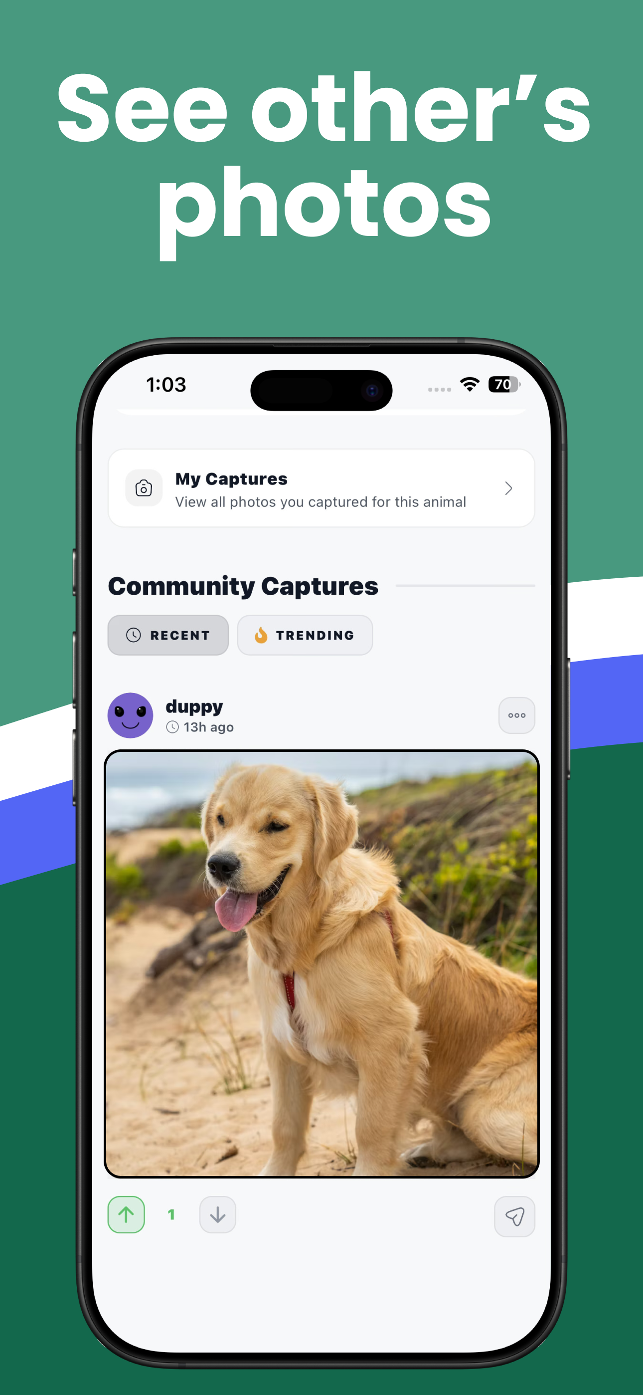 Wildgram gallery image