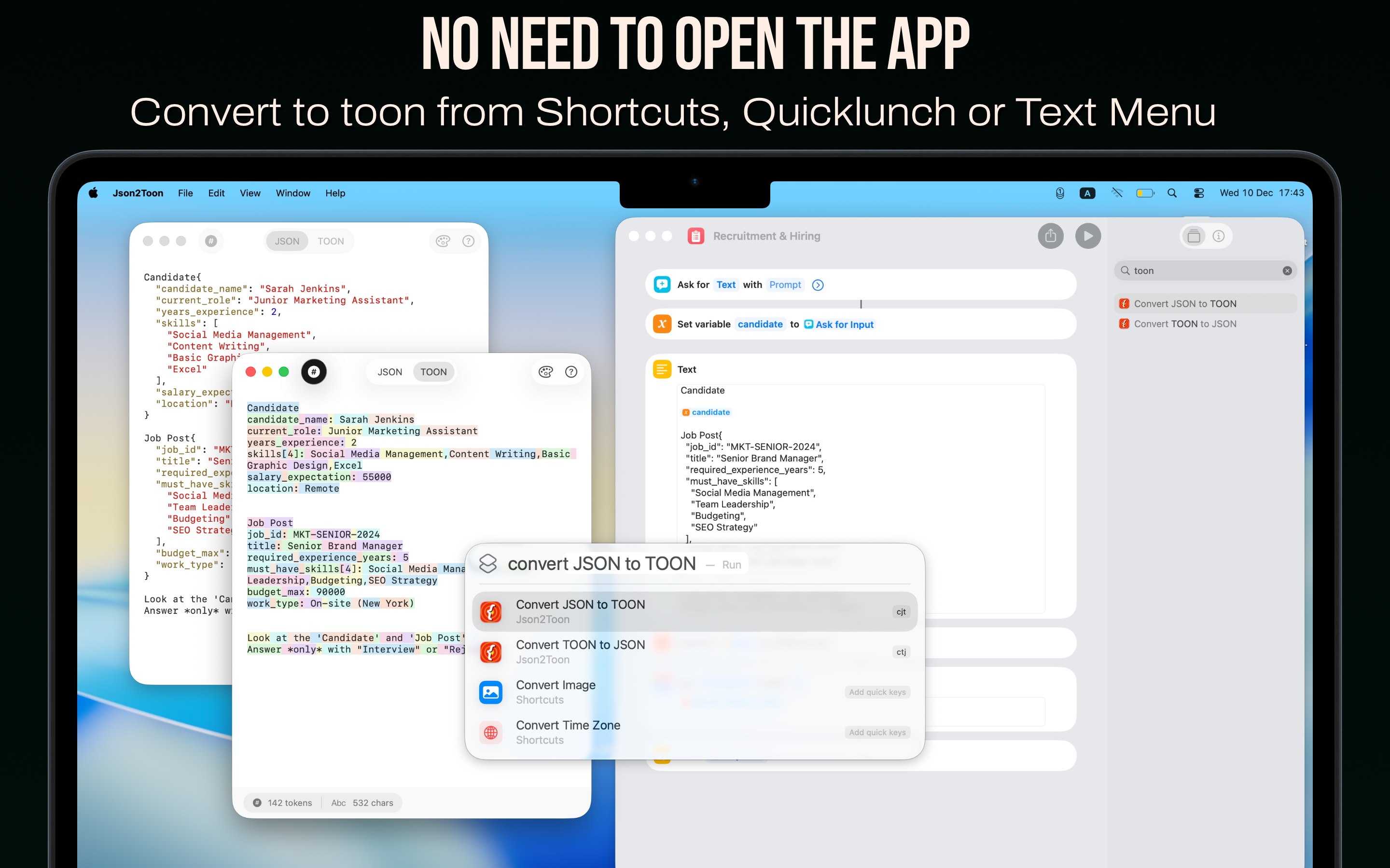 Json2Toon gallery image