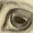 Internet Archive Book Images