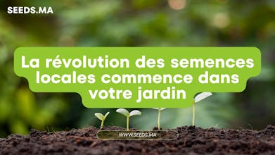 Seeds.ma gallery image