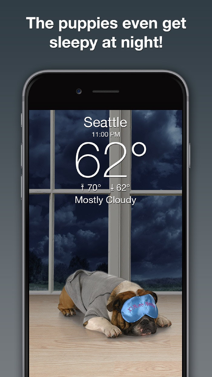 Weather Puppy App gallery image