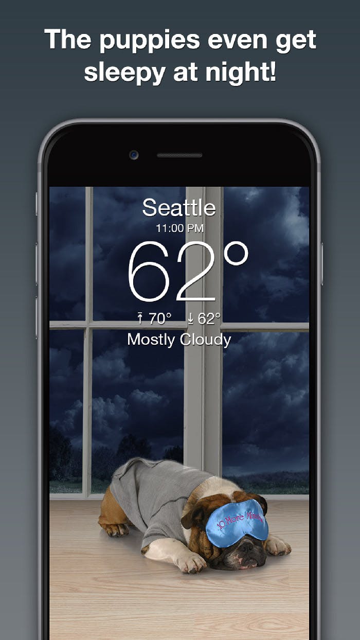 Weather Puppy App media 2