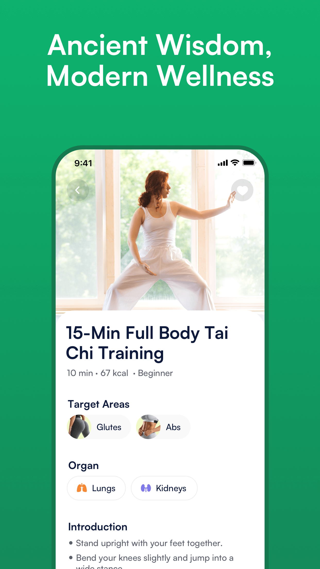 zenfit media 4