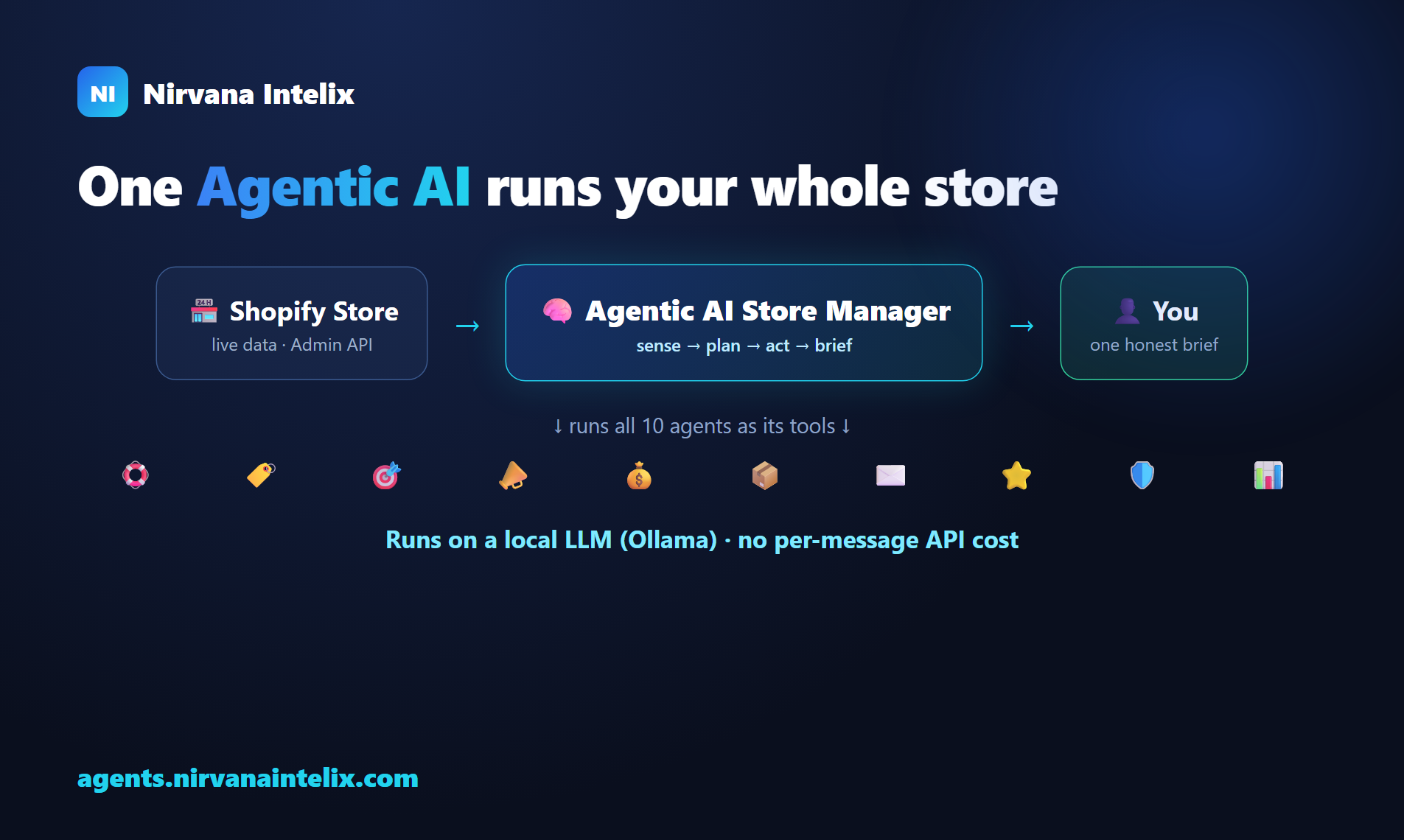 Nirvana Intelix — AI Store Manager gallery image