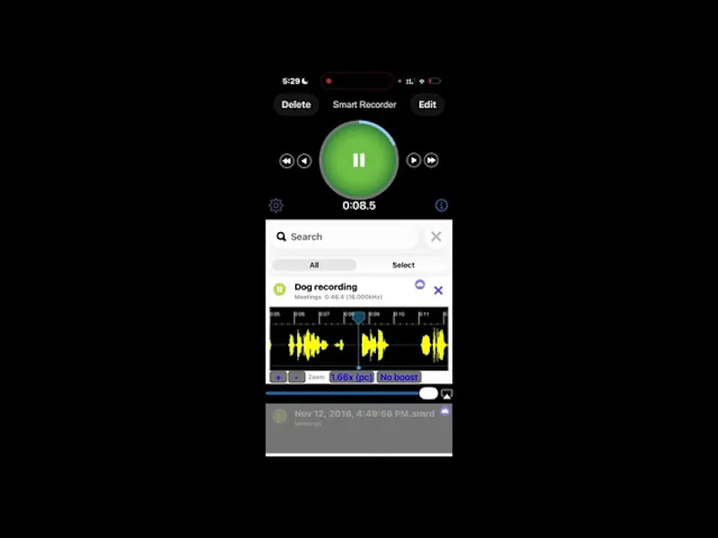 Smart Recorder screenshot 1 (video preview)