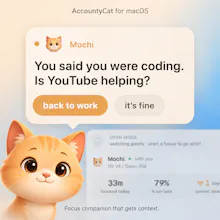 AccountyCat gallery image