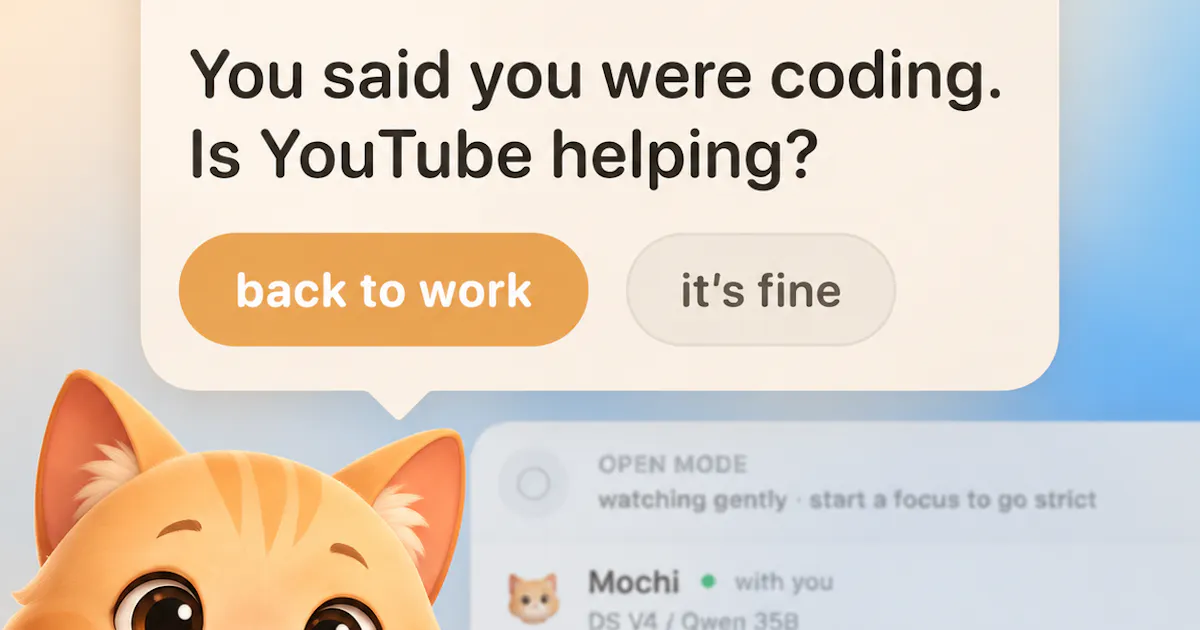 AccountyCat