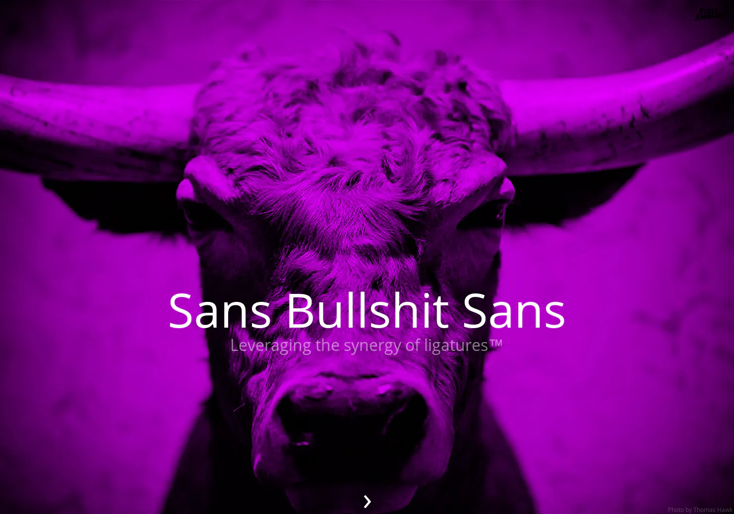 Sans Bullshit Sans