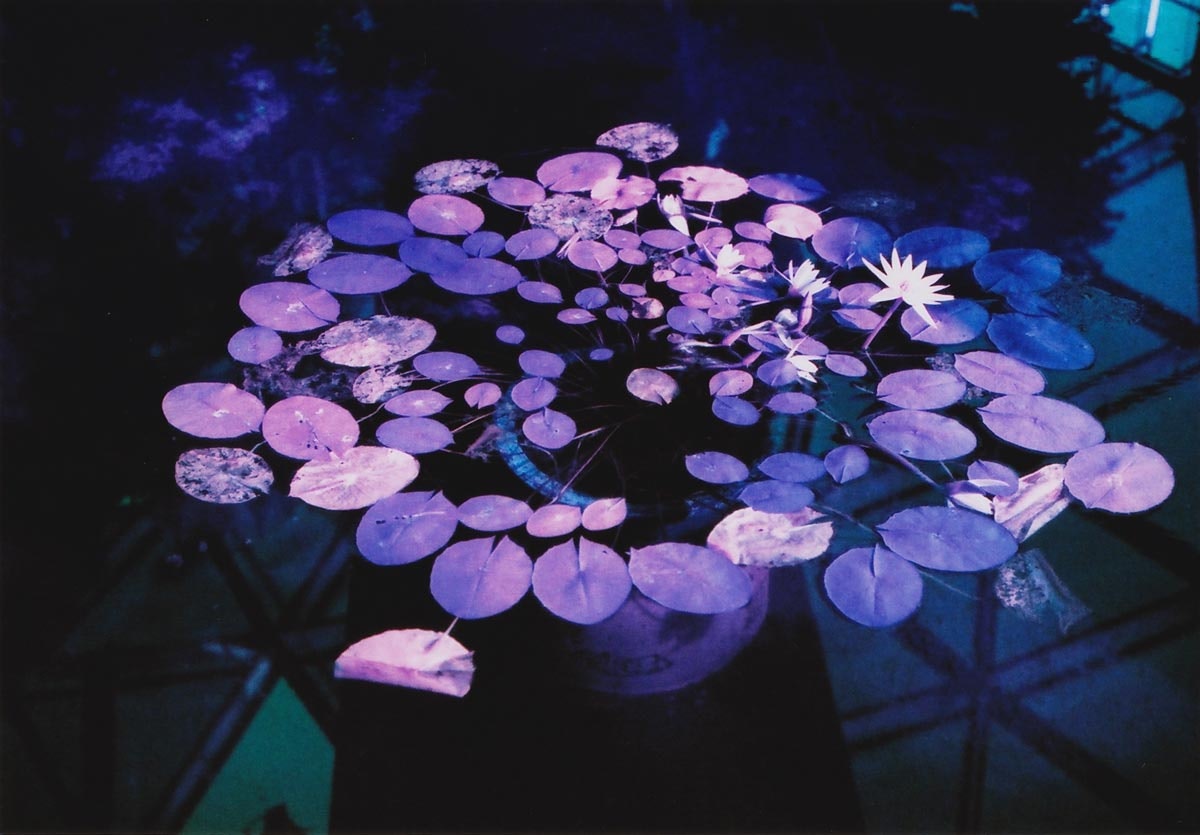 ArtSocket gallery image