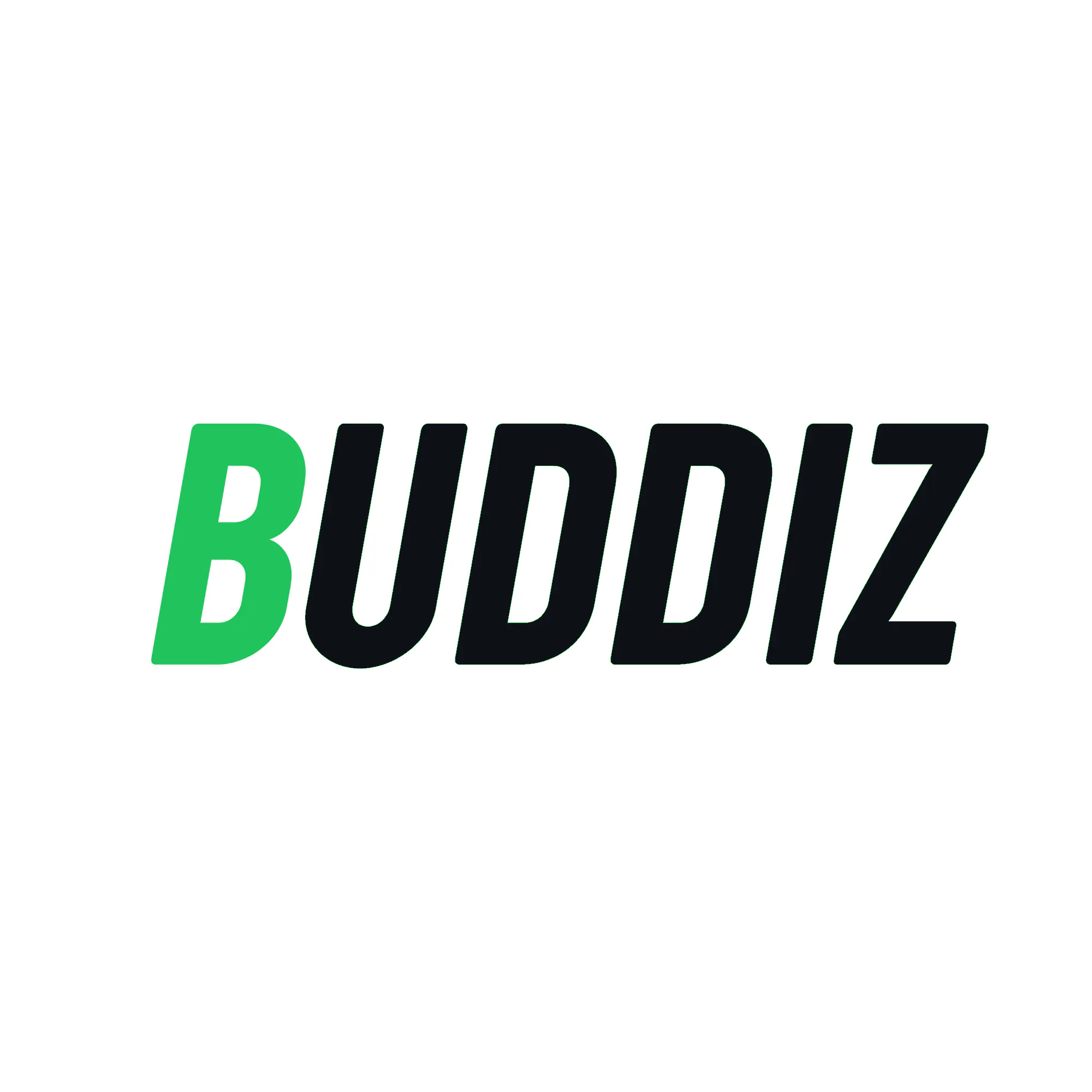 Buddiz