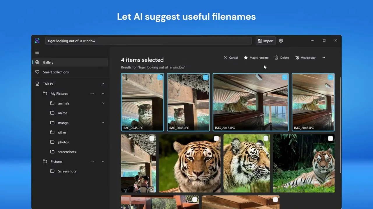 ImageSage AI photo manager gallery image