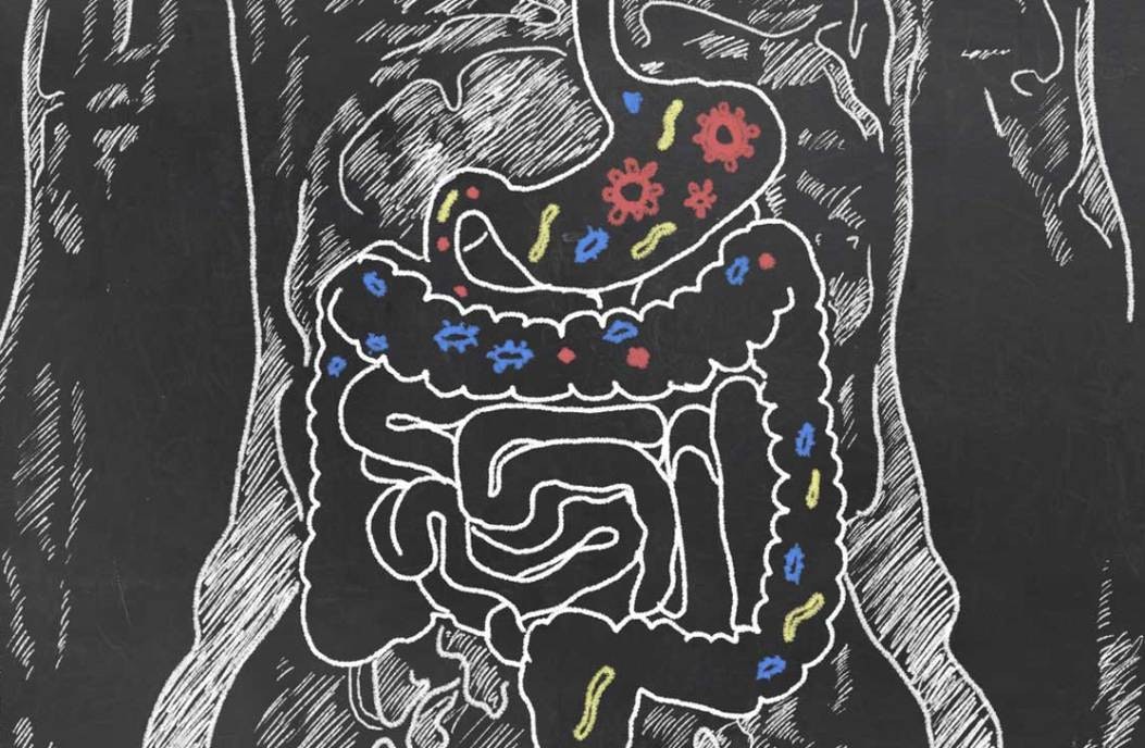 TheGoodGut.org gallery image