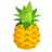 The Pineapple Fund
