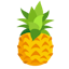 The Pineapple Fund