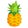 The Pineapple Fund