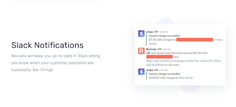 Revively gallery image