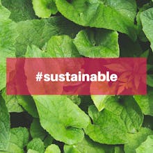 So Health Co. gallery image