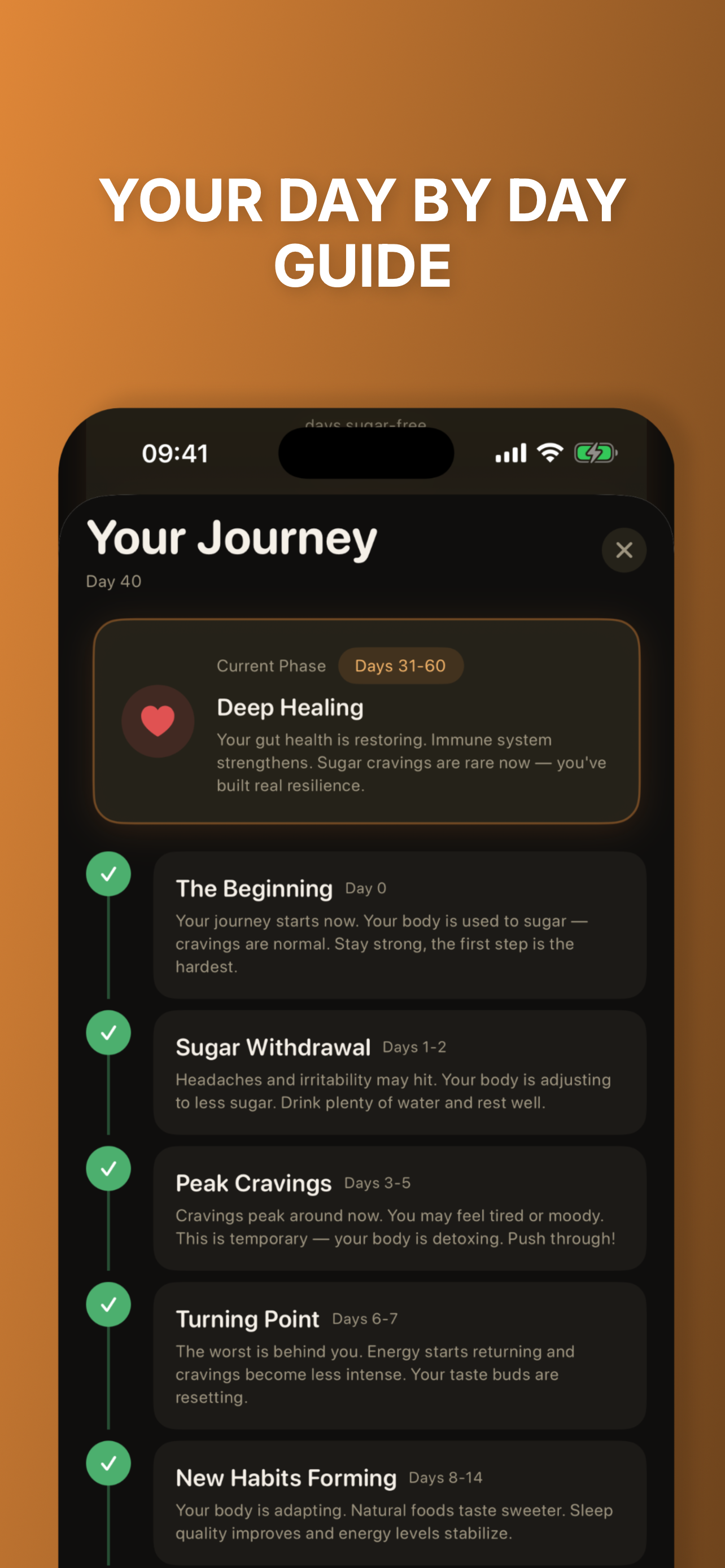 NoSugar gallery image