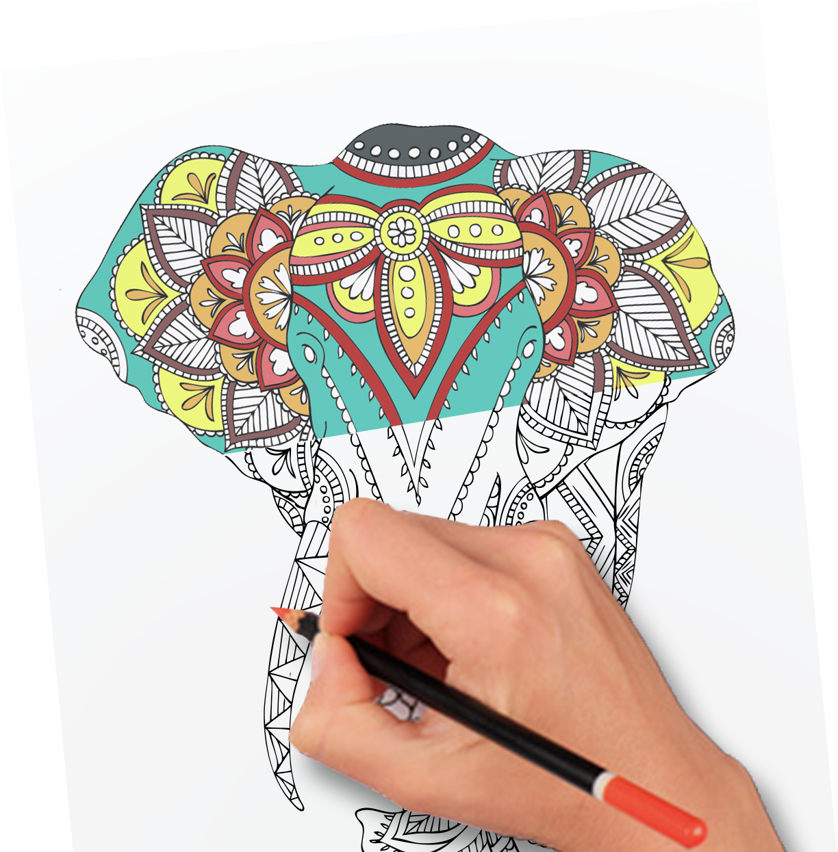 Monthly Coloring Club