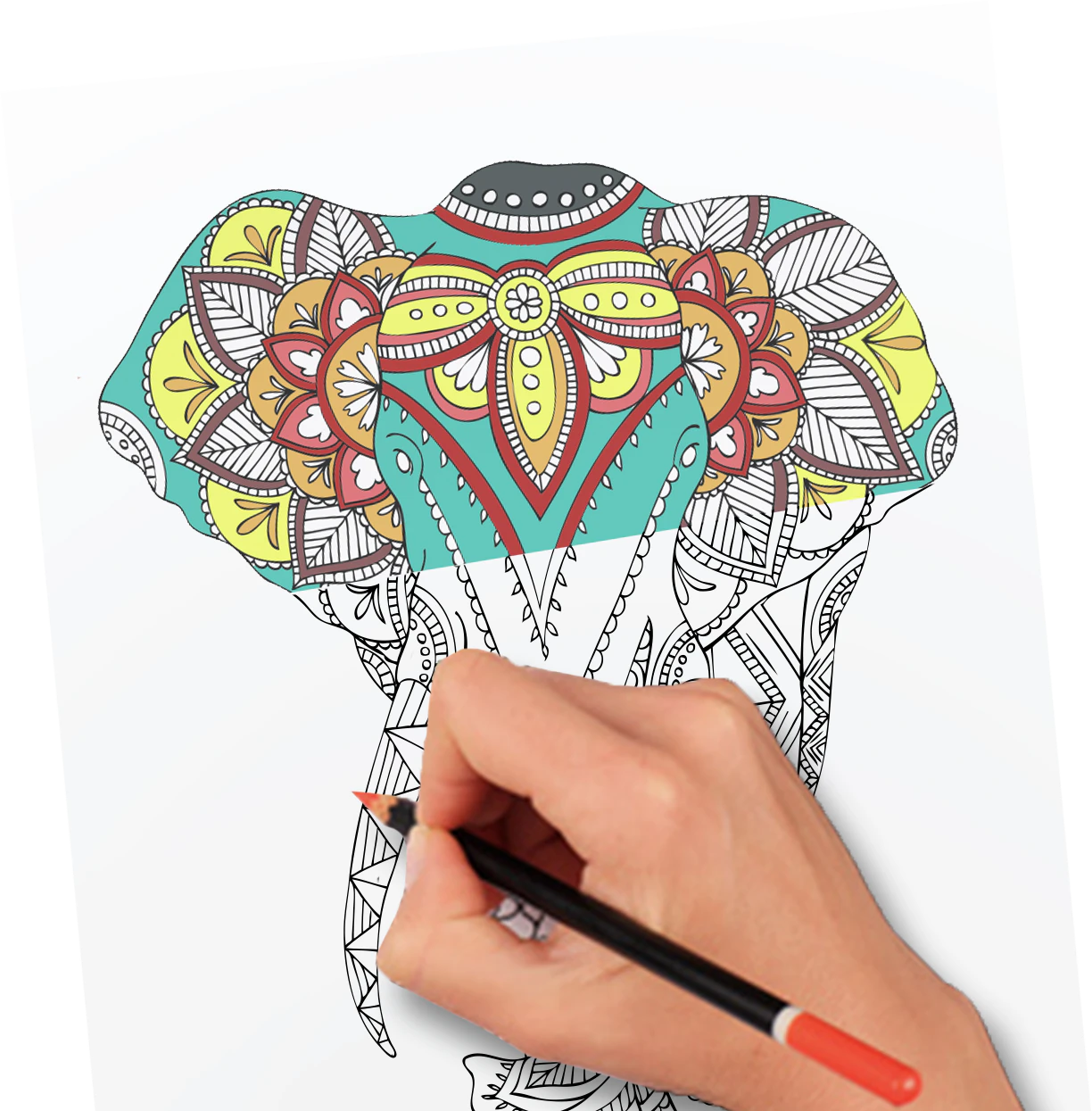 Monthly Coloring Club