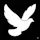 ReplyRaven