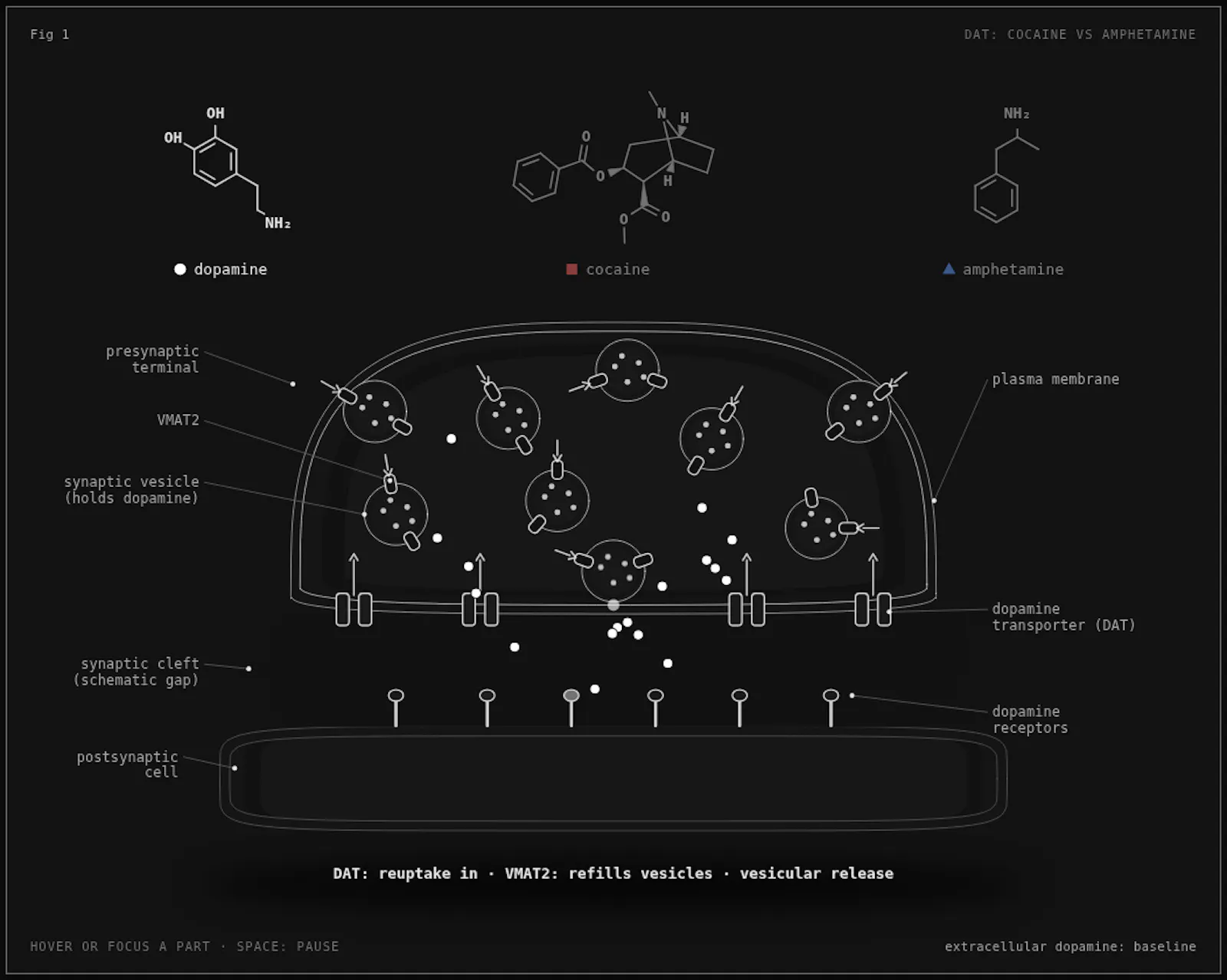 Anima screenshot 3