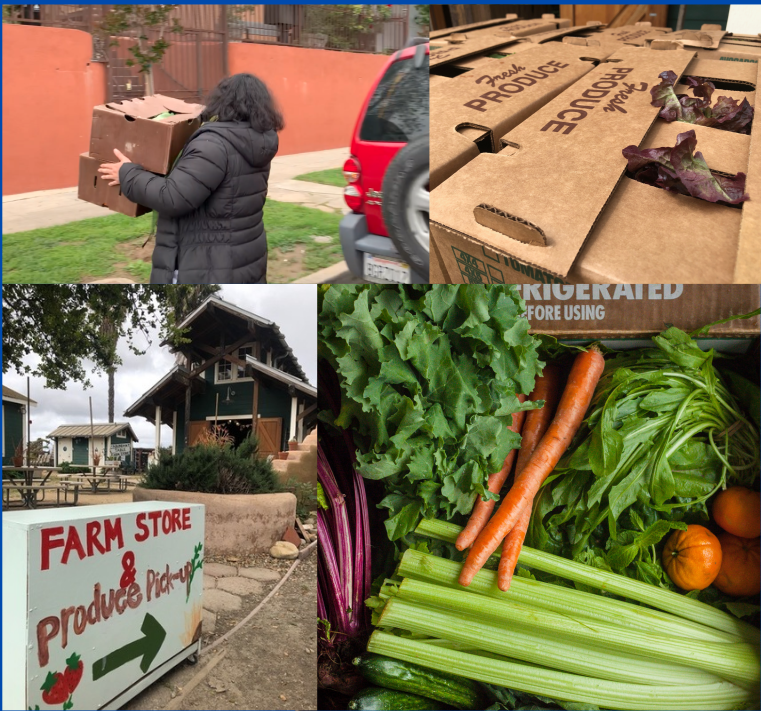 Resilience gallery image