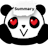Summary Panda