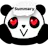 Summary Panda