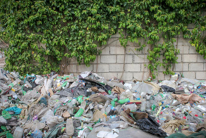 Norton Point gallery image