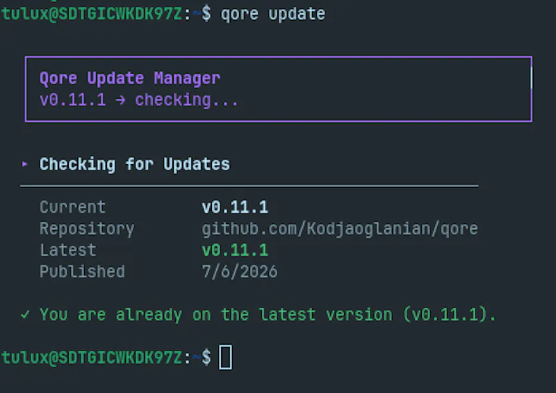 Qore screenshot 2