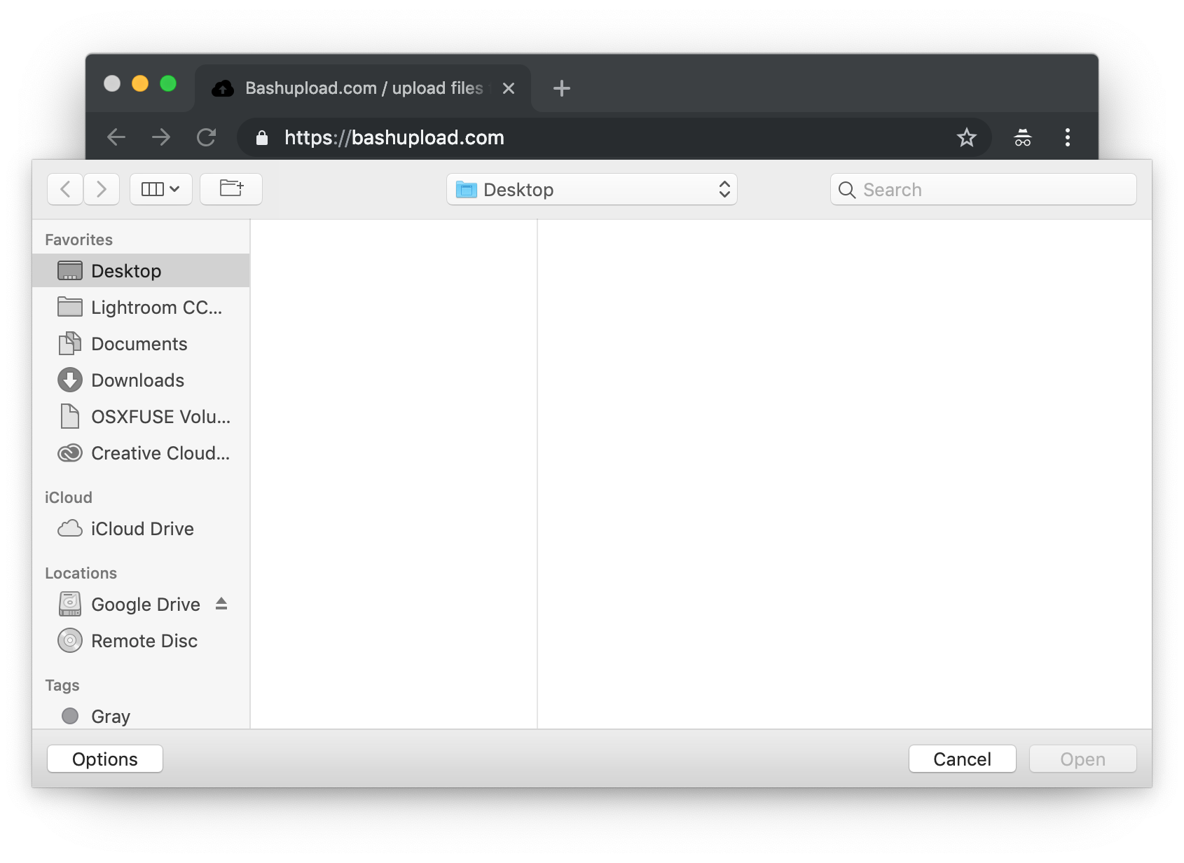 Bashupload gallery image