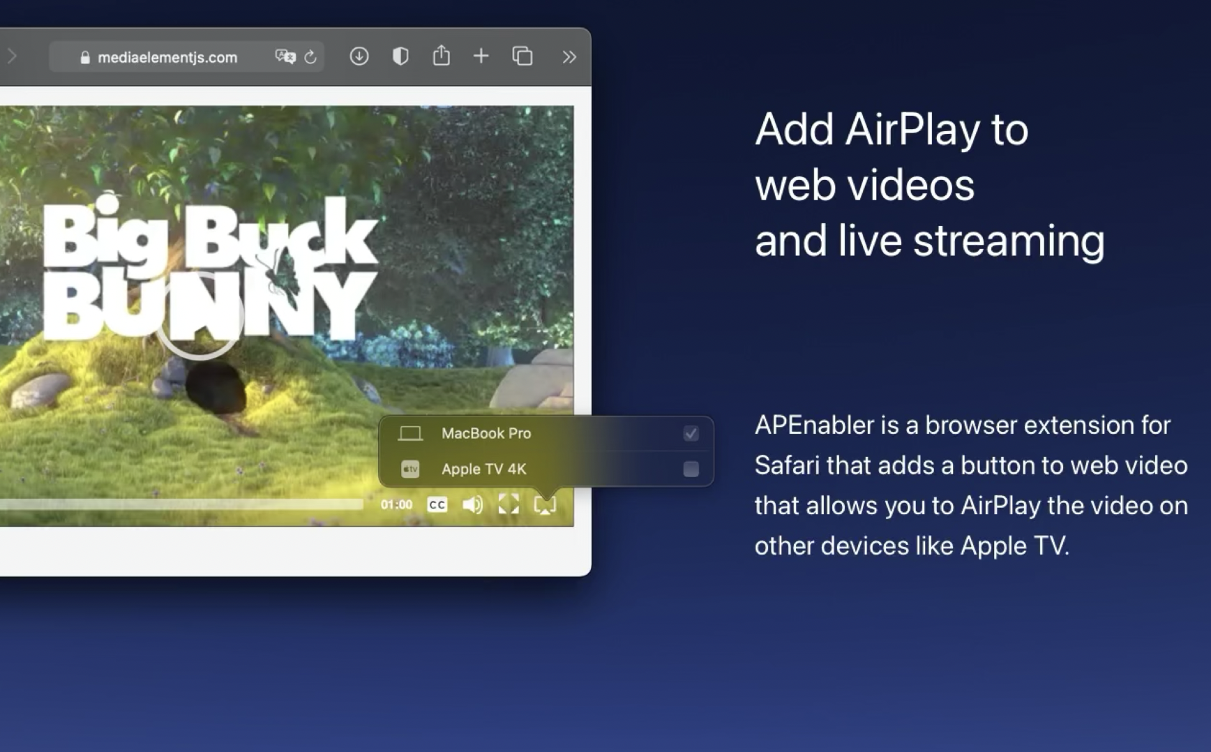 APEnabler gallery image