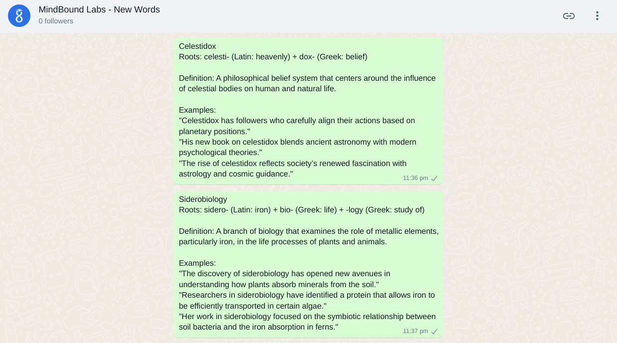 MindBound Labs gallery image