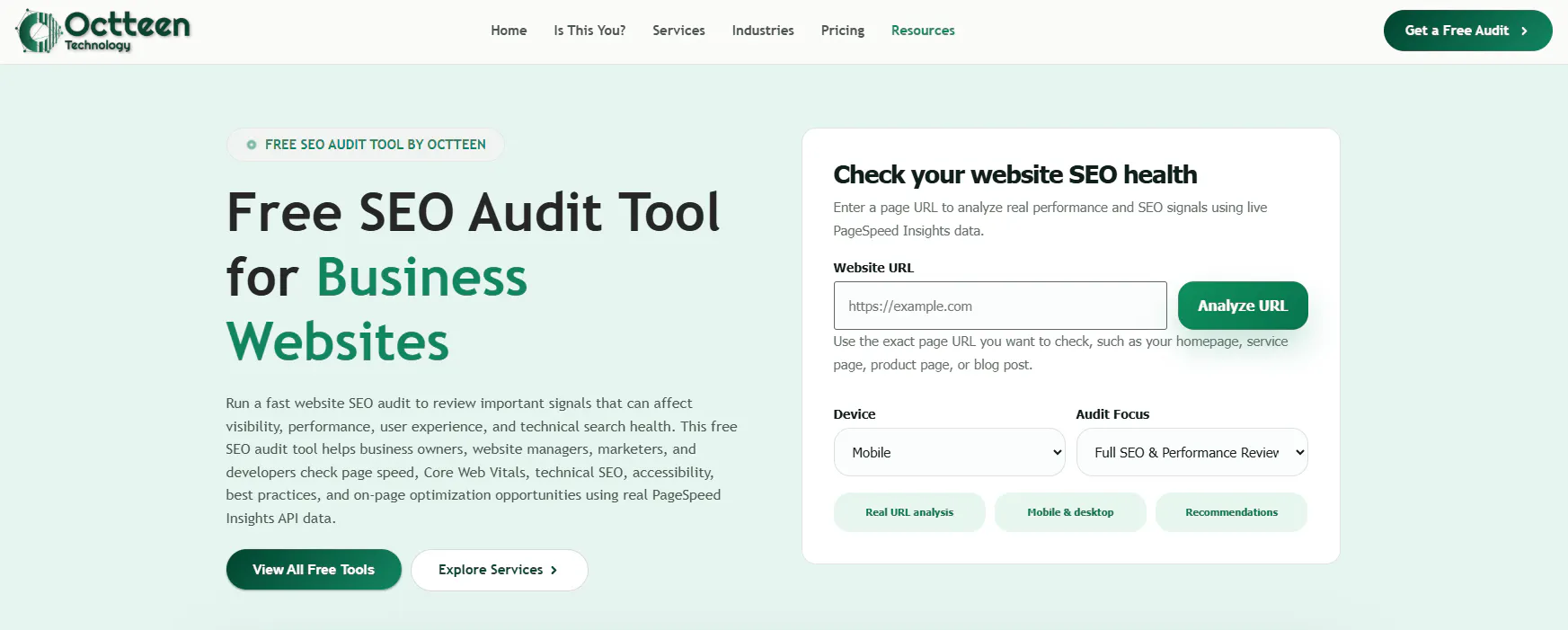 Octteen SEO Audit Tool gallery image