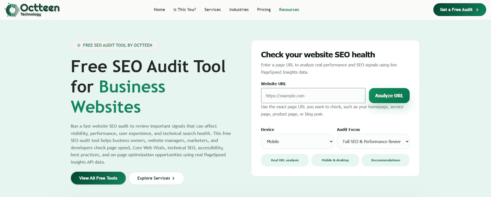 Octteen SEO Audit Tool screenshot 2