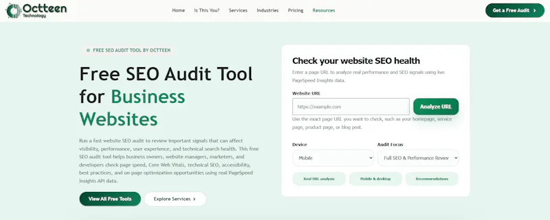 Octteen SEO Audit Tool screenshot 2