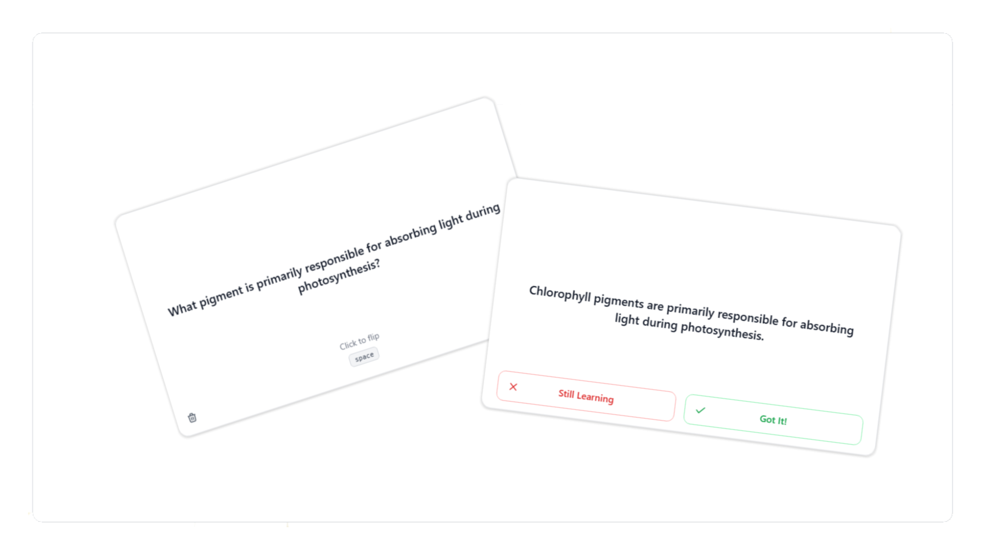 Hootly gallery image