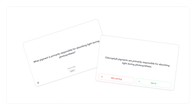 Hootly gallery image