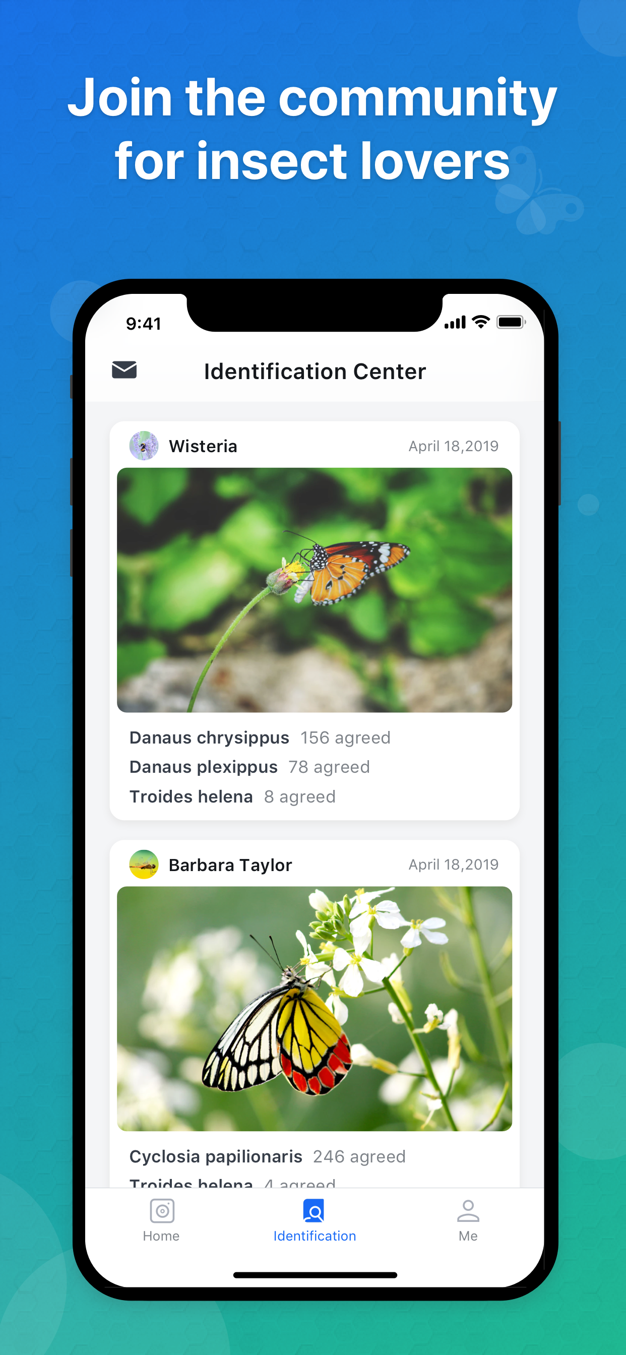 Picture Insect gallery image