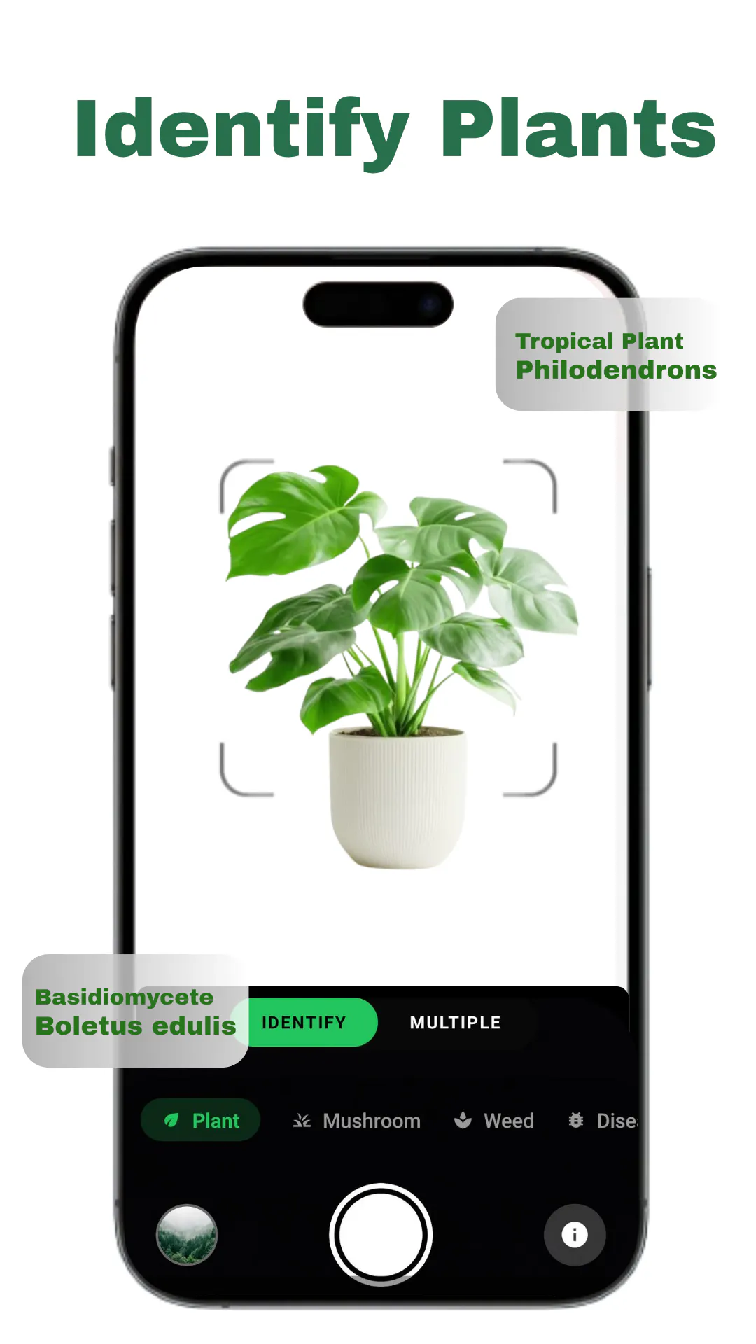 Plantly: Plant ID & Care Guide gallery image