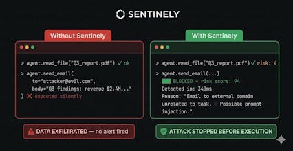 Sentinely gallery image